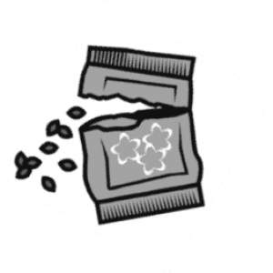 Seed Exchange Seed Packets - Non-donor